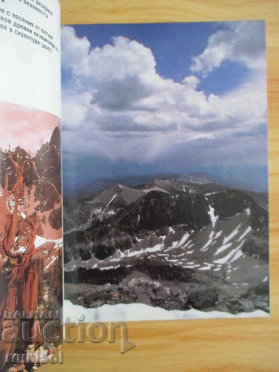 Auction  Spectrum - 65 / 1989