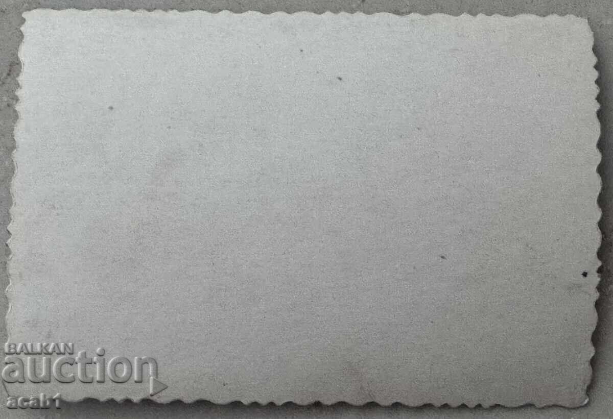 Ladies in front of the Danube with price 7.99 BGN | € 4.09 Ladies in front of the Danube with price 7.99 BGN | € 4.09