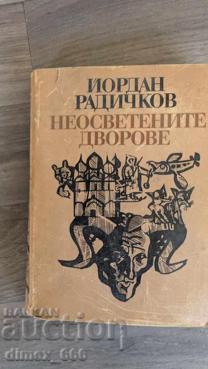 Curțile neiluminate de Iordan Radicikov