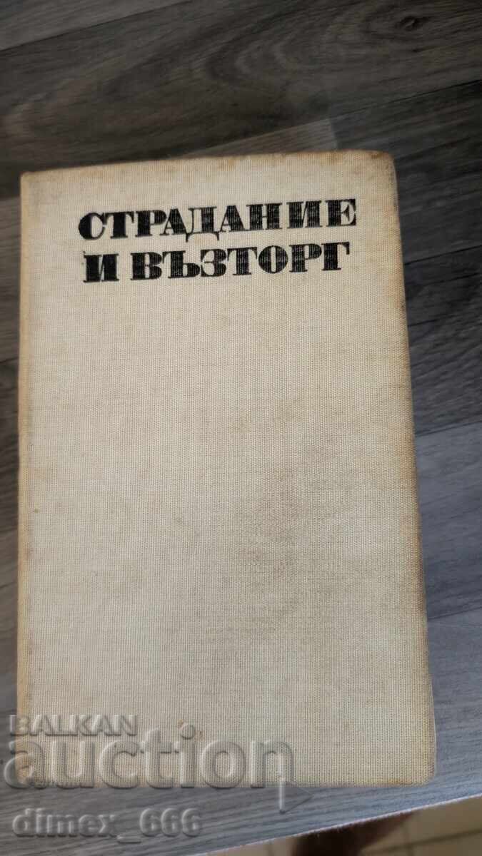 Suffering and Rapture Irving Stone