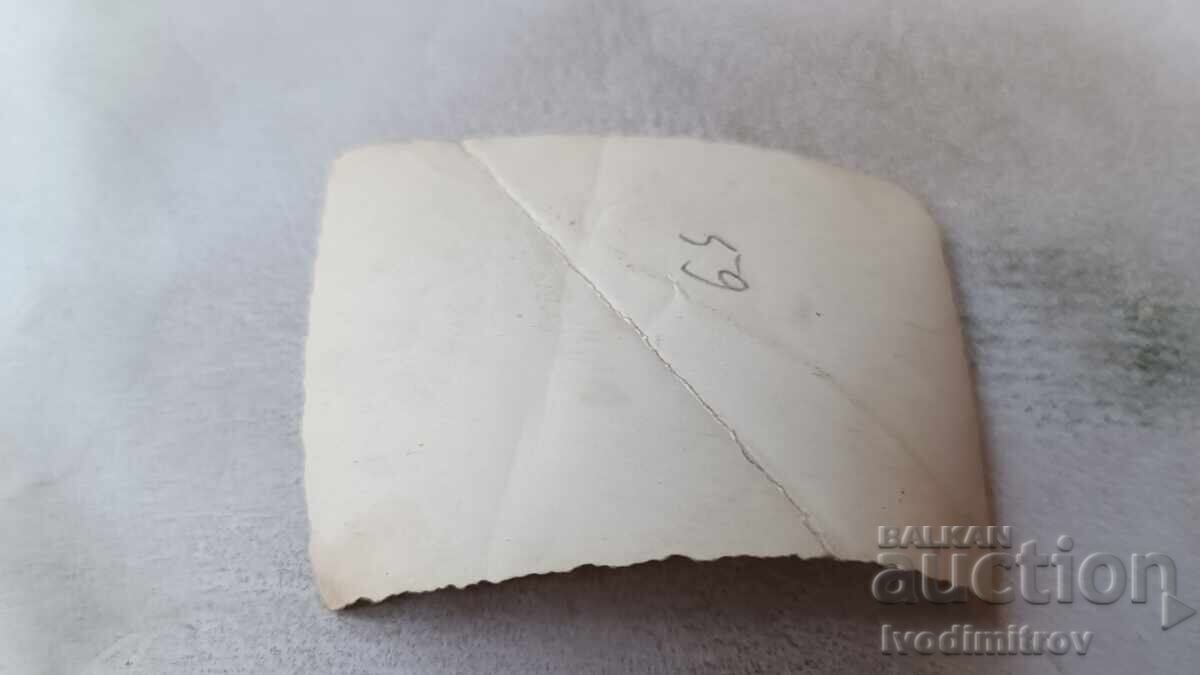 Φωτογραφία Σοφία Τρεις νέοι σε μια βόλτα με τιμή 1.85 BGN | € 0.95