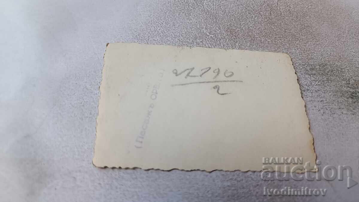 Φωτογραφία Σοφία Ένας άντρας και μια γυναίκα σε μια βόλτα το χειμώνα με τιμή 2.35 BGN | € 1.20 Φωτογραφία Σοφία Ένας άντρας και μια γυναίκα σε μια βόλτα το χειμώνα με τιμή 2.35 BGN | € 1.20