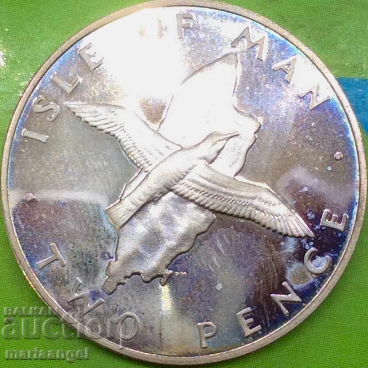 2 πένες 1977 Νήσος Μαν Ελισάβετ II - αρκετά σπάνιο - 6