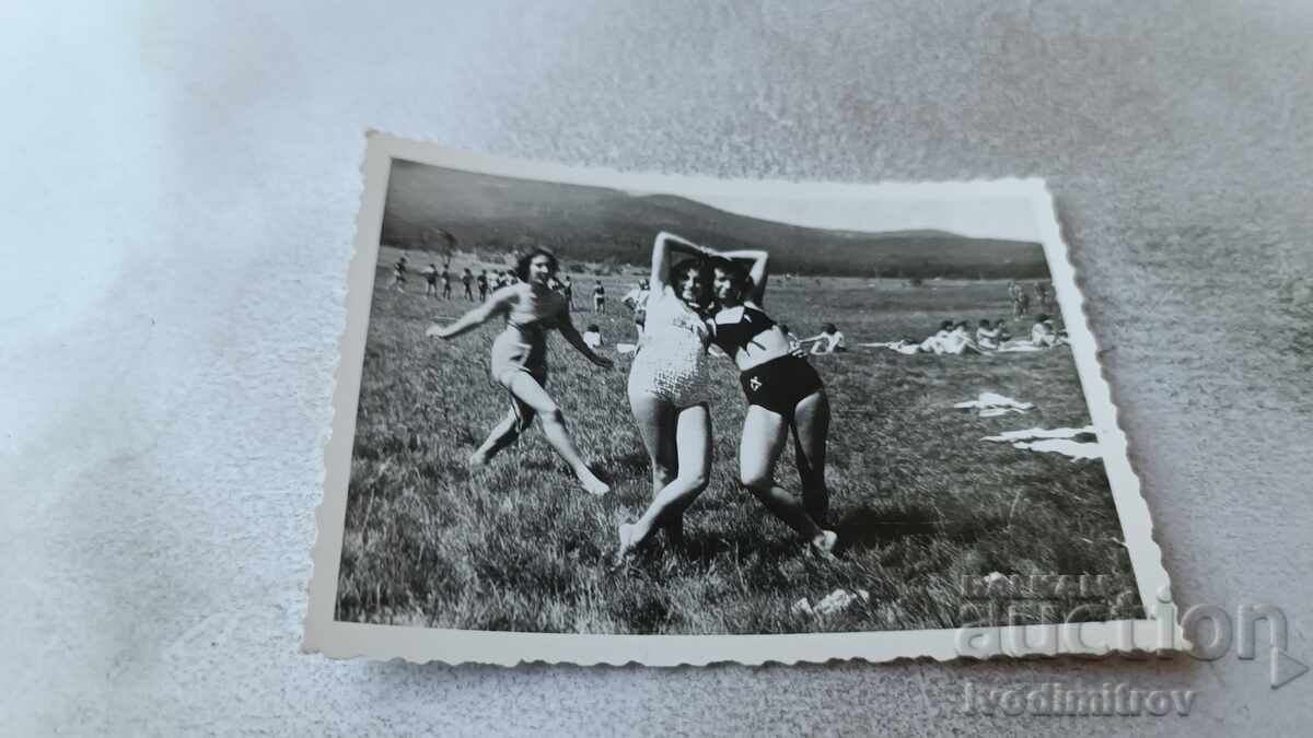 Photo of Three Young Girls in the Meadow