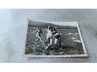 Photo of Three Young Girls in the Meadow