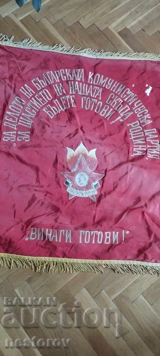 Auction  FLAG "PIONEER GROUP of ZEMEN"