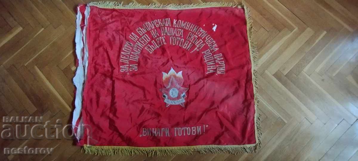 FLAG "PIONEER GROUP of ZEMEN"