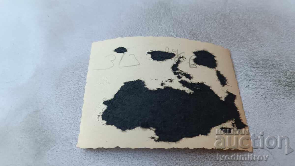 Φωτογραφία Αγόρια και κορίτσια στην παραλία με τιμή 1.85 BGN | € 0.95 Φωτογραφία Αγόρια και κορίτσια στην παραλία με τιμή 1.85 BGN | € 0.95