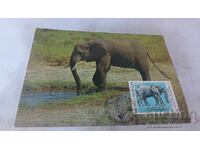 Ταχυδρομική κάρτα 100 γρ. Ζωολογικός κήπος Σόφιας 1988