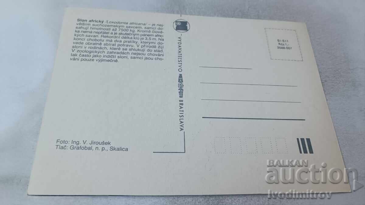 Carte poștală Elefant African cu preț 0.95 BGN | € 0.49 Carte poștală Elefant African cu preț 0.95 BGN | € 0.49