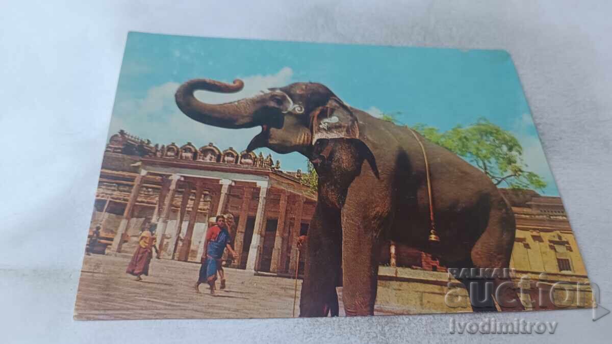 Cartolină Poștală Templul Srirangam - Trichi