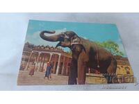 Cartolină Poștală Templul Srirangam - Trichi