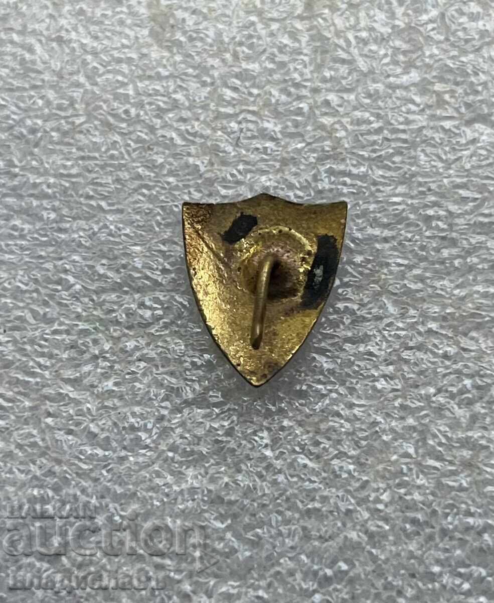 Vechi insignă SPARTAK PLOVDIV - Campion de fotbal al RPR cu preț 250.00 BGN | € 127.82 Vechi insignă SPARTAK PLOVDIV - Campion de fotbal al RPR cu preț 250.00 BGN | € 127.82