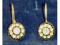 Cercei argintii fermecători cu pietre