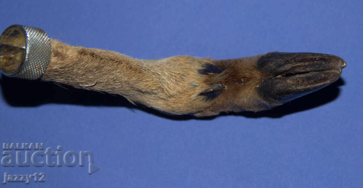 Solid hunting knife with a hoof handle - 7