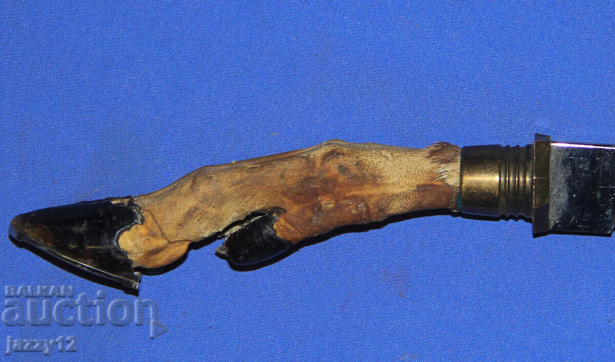 Solid hunting knife with a hoof handle with price 150.00 BGN | € 76.69