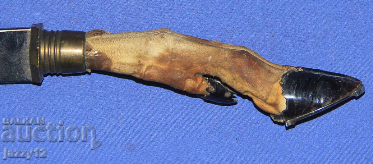 Solid hunting knife with a hoof handle - 5