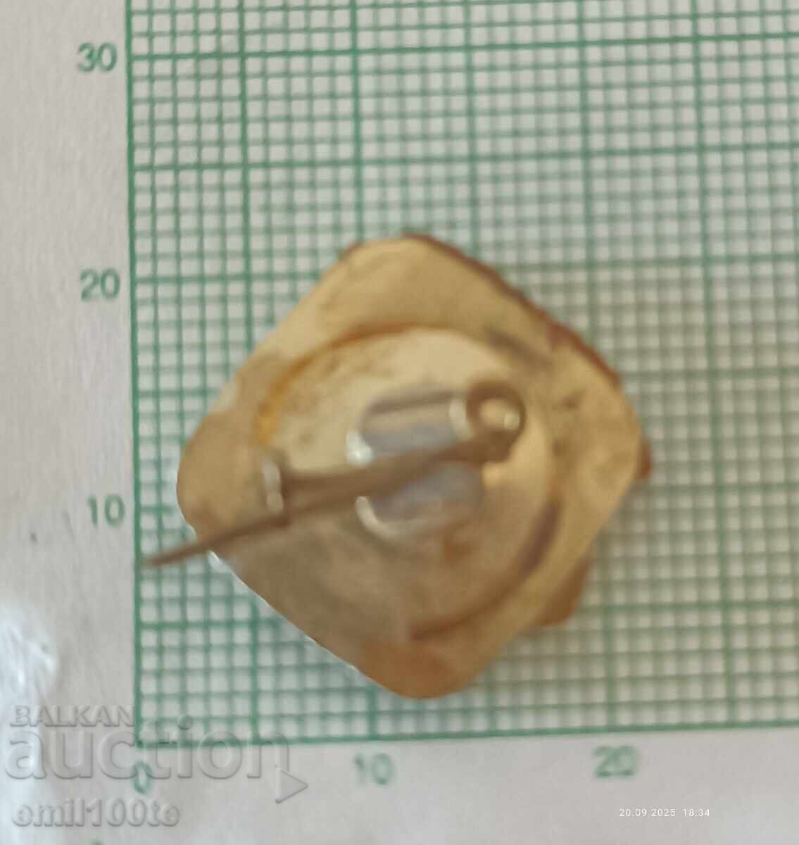 Delivery of Badge - 1300 Years of Bulgaria Foundation 681 1981