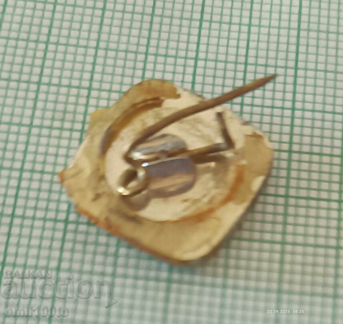 Badge - 1300 Years of Bulgaria Foundation 681 1981 - 5