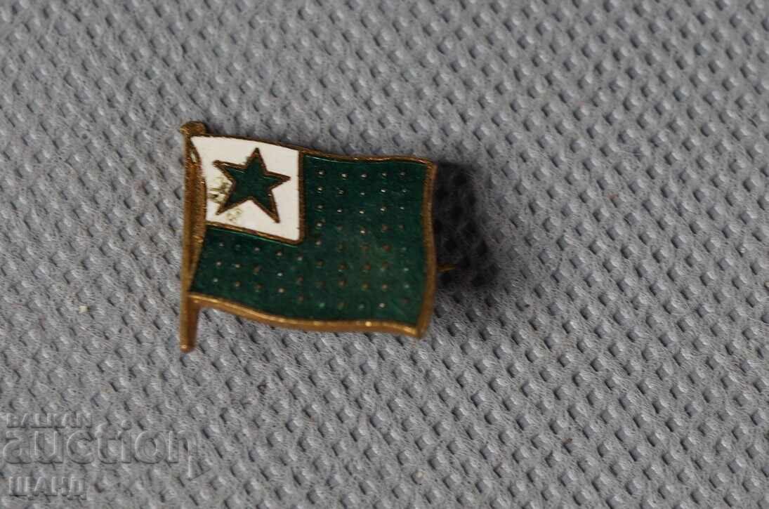 Vechi insignă emailată rară - semn esperanto
