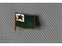 Vechi insignă emailată rară - semn esperanto