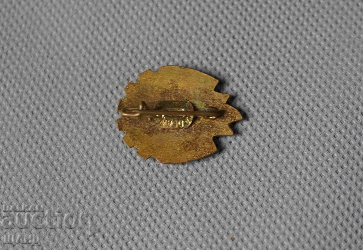 Vechi insignă emailată Organizația Pionierilor din România cu preț 5.35 BGN | € 2.74