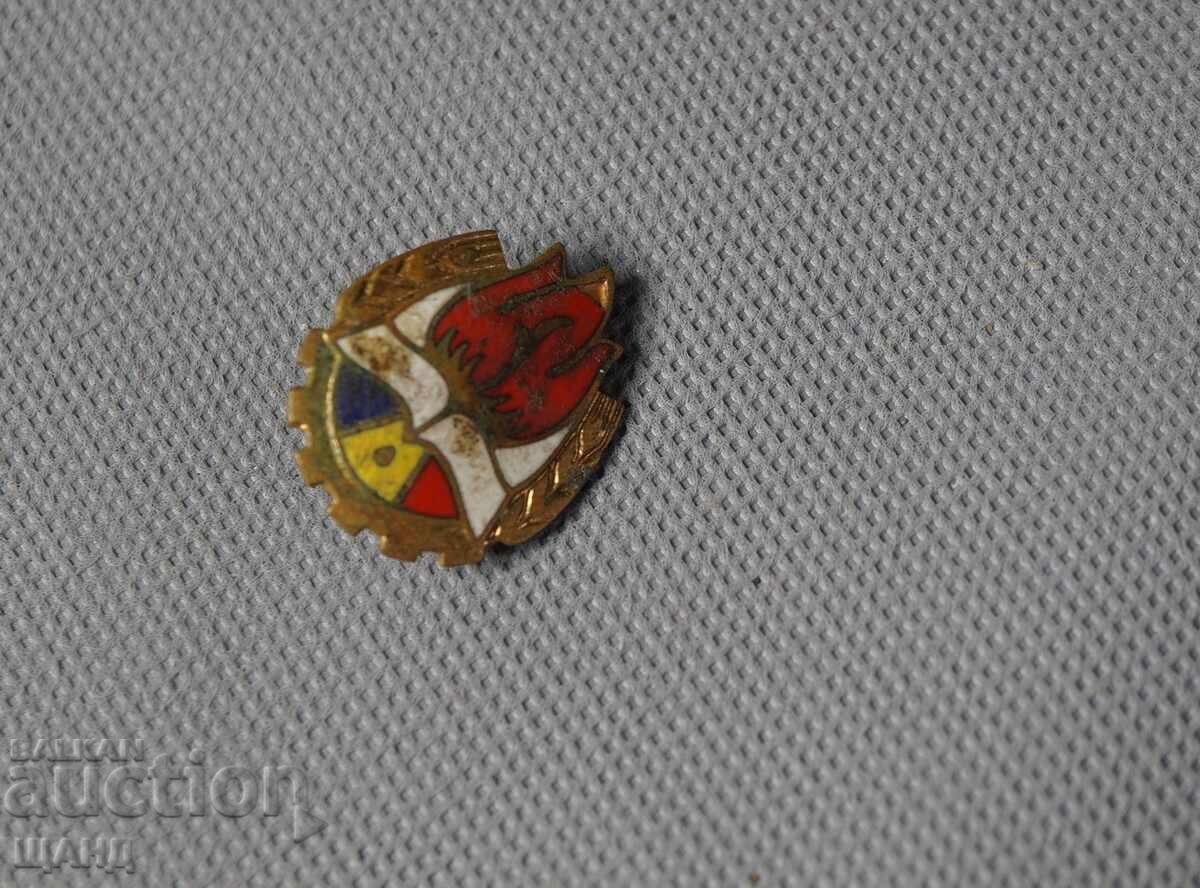 Vechi insignă emailată Organizația Pionierilor din România