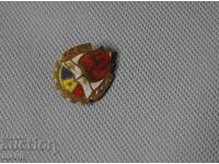 Vechi insignă emailată Organizația Pionierilor din România