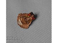 1952 Insignă sportivă germană veche