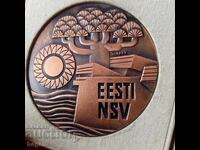 Medalie rară, placă comemorativă