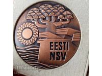 Medalie rară, placă comemorativă