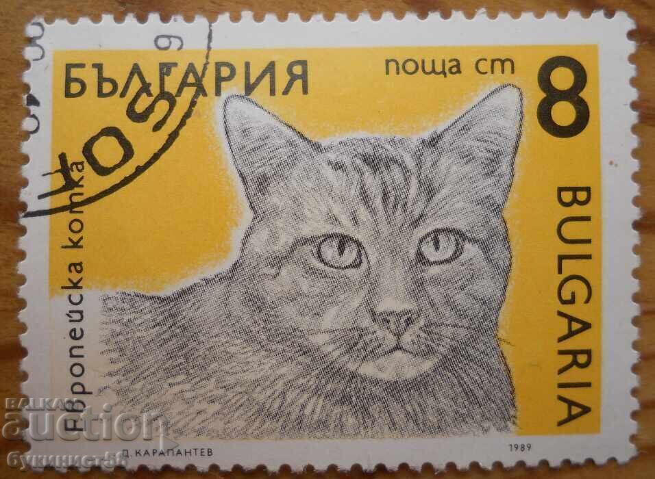 Bloc Bulgaria seria "Pisici" 1989 Bloc Bulgaria seria "Pisici" 1989