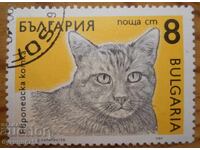 Bloc Bulgaria seria "Pisici" 1989