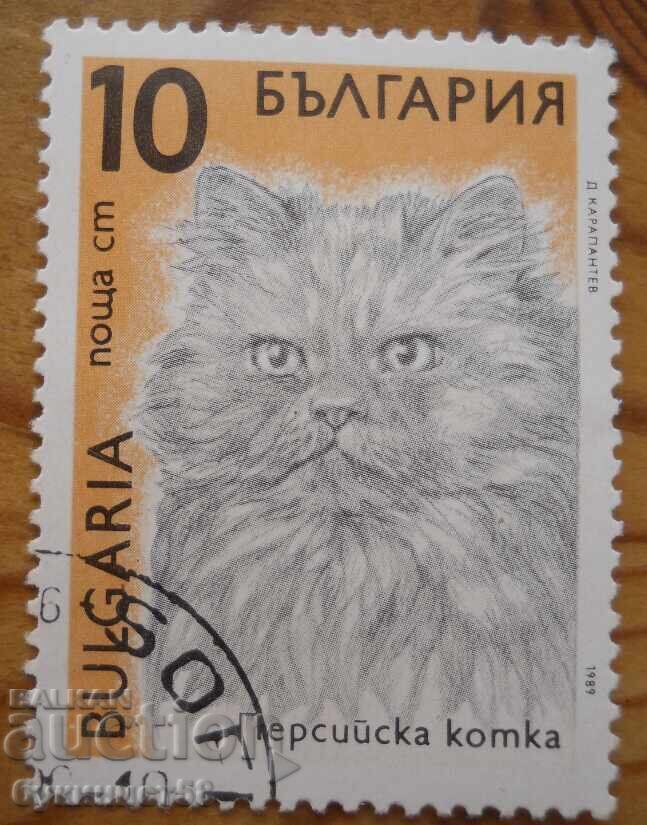 Bloc Bulgaria seria "Pisici" 1989