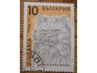 Bloc Bulgaria seria "Pisici" 1989