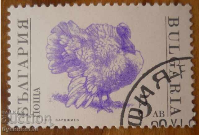 Bloc de Bulgaria seria "Animale domestice" 1991 Bloc de Bulgaria seria "Animale domestice" 1991