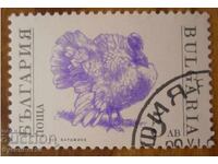 Bŭlgariya blok σειρά "Οικόσιτα ζώα" 1991
