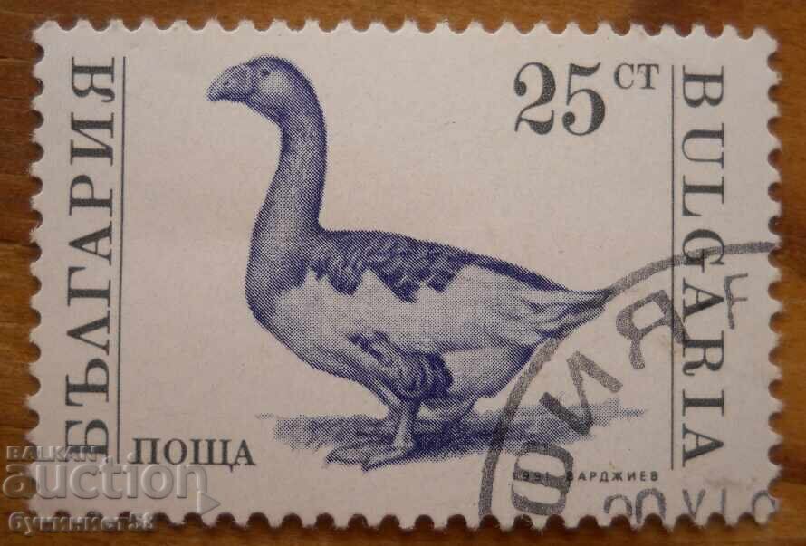 Bloc de Bulgaria seria "Animale domestice" 1991