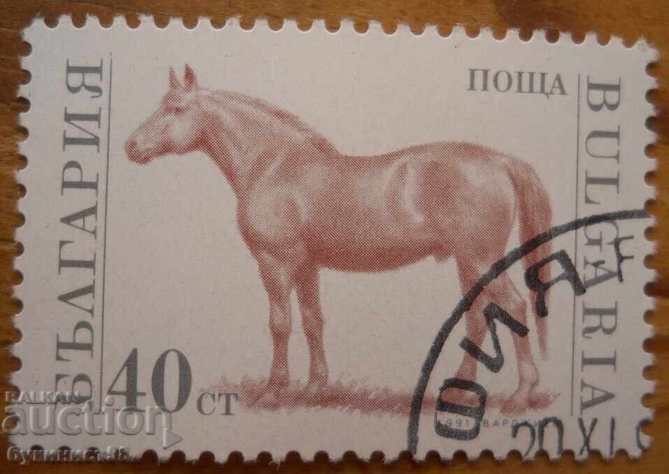 Bŭlgariya blok σειρά "Οικόσιτα ζώα" 1991