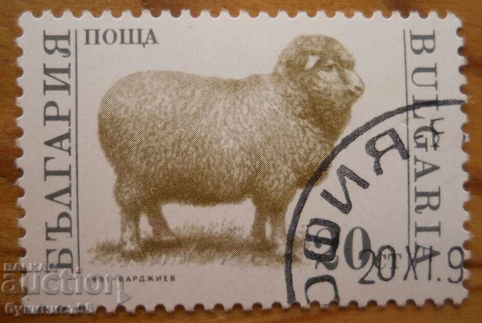 Bŭlgariya blok σειρά "Οικόσιτα ζώα" 1991