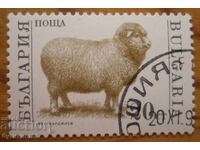 Bŭlgariya blok σειρά "Οικόσιτα ζώα" 1991