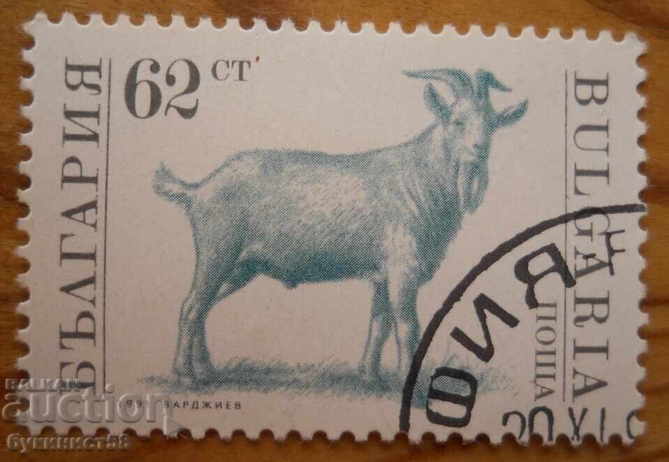 Bŭlgariya blok σειρά "Οικόσιτα ζώα" 1991