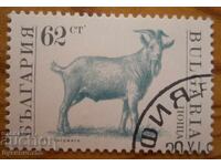 Bŭlgariya blok σειρά "Οικόσιτα ζώα" 1991