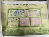 Panou de instrucție militară