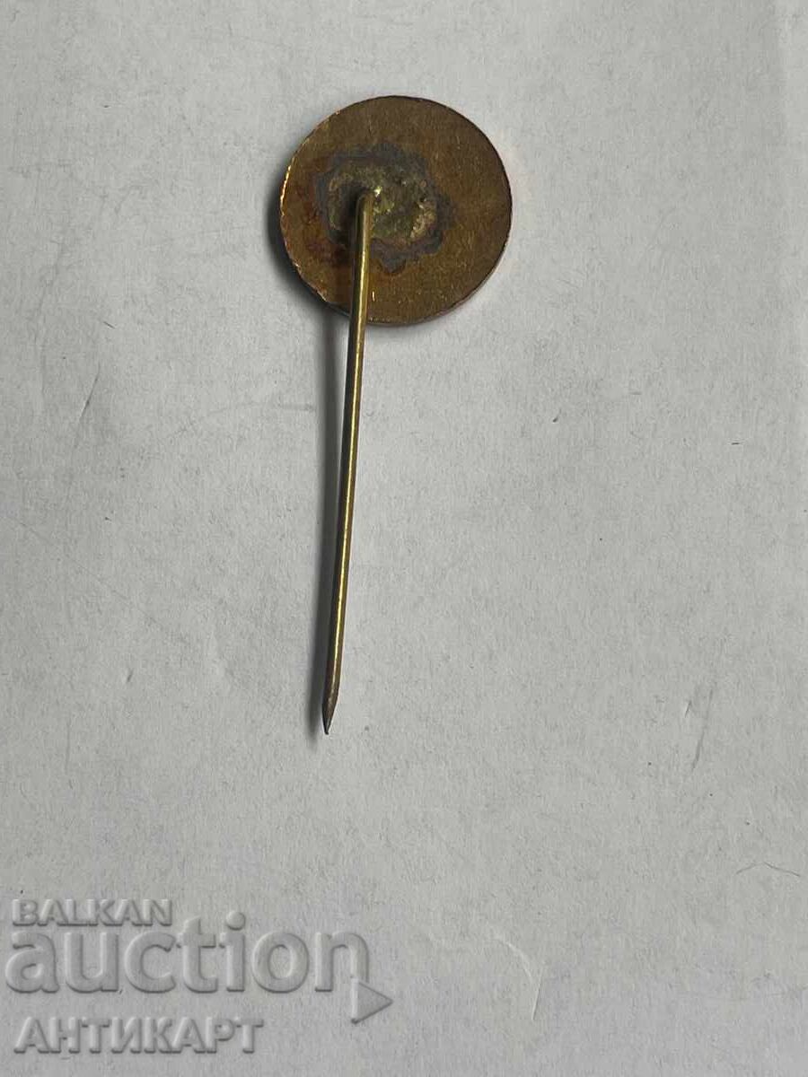 Auction  Rare "Yunak" Union Badge Bronze Enamel