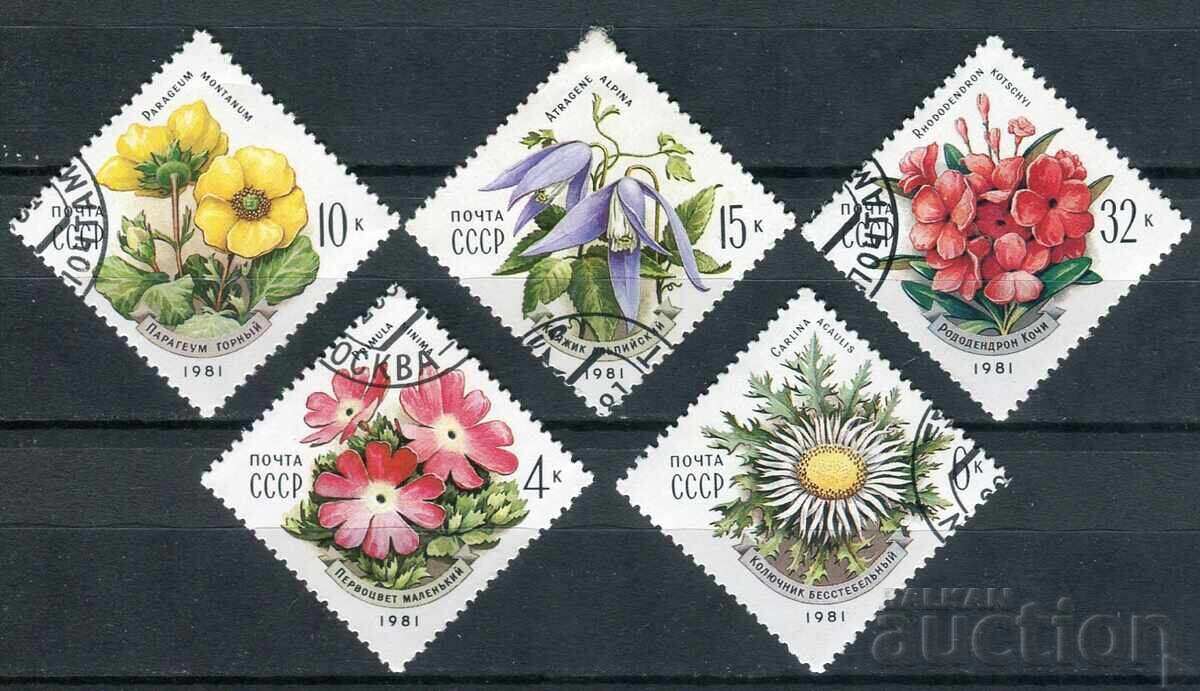 URSS CTO 1981 - Floră, flori
