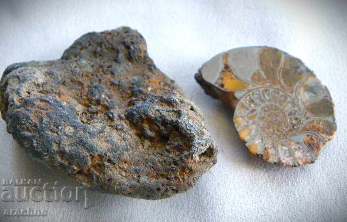 Meteorite and Ammonite from Morocco with price 190.00 BGN | € 97.15