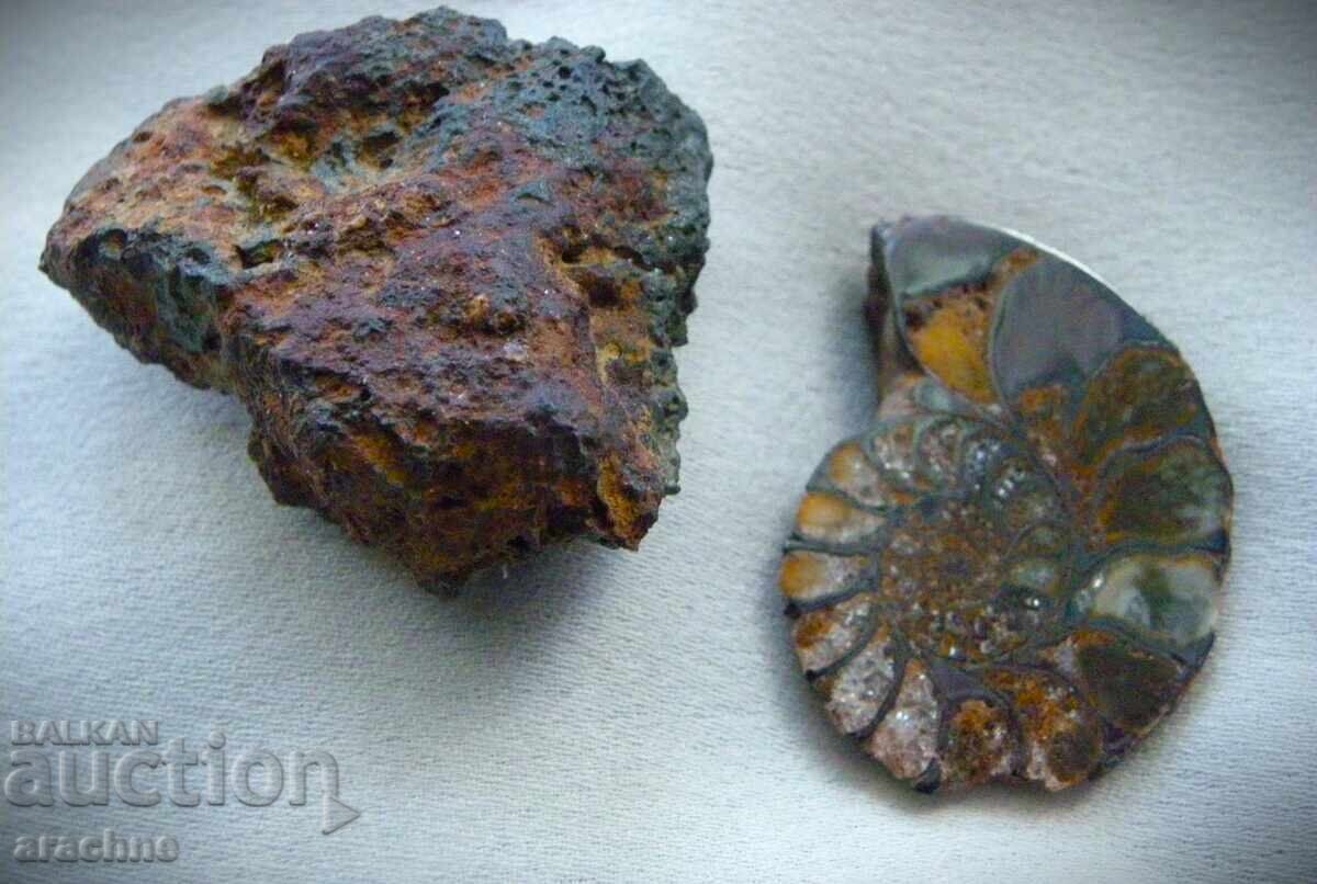 Meteorite and Ammonite from Morocco with price € 97.00 | 189.72 BGN