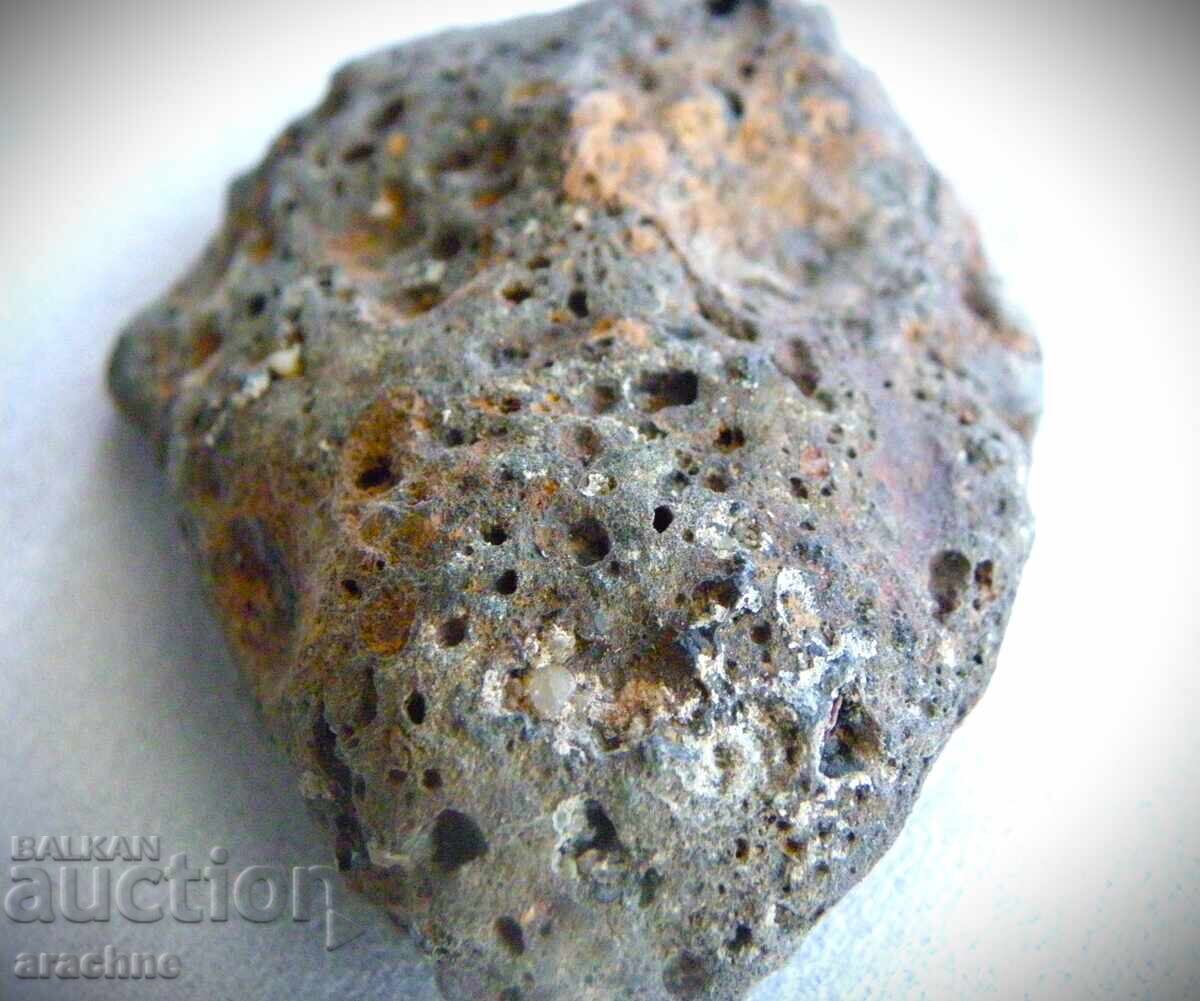 Delivery of Meteorite and Ammonite from Morocco