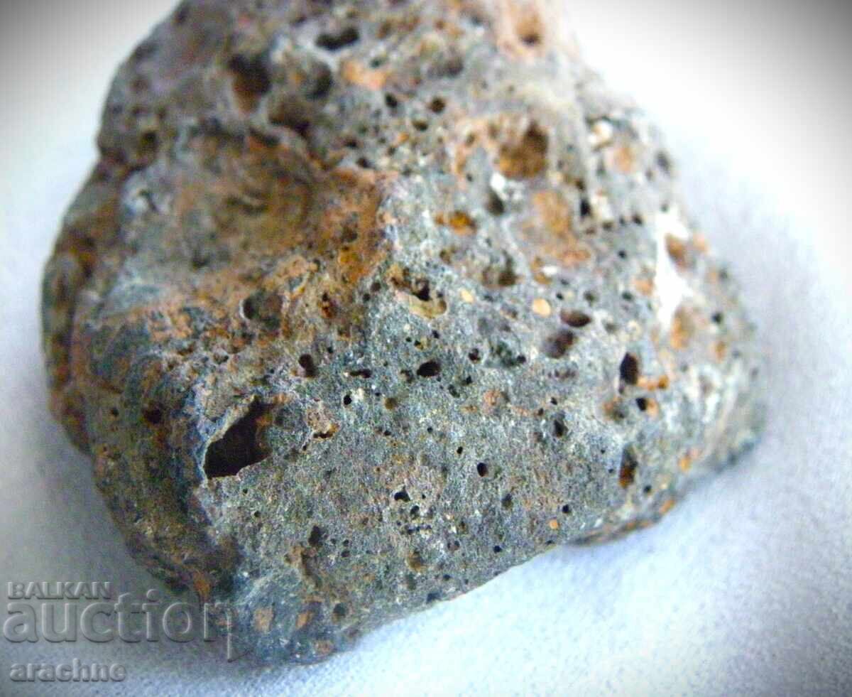 Meteorite and Ammonite from Morocco - 5